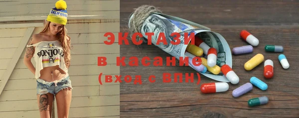 индика Мегион