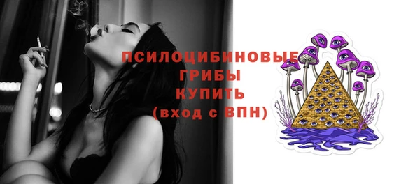 индика Мегион