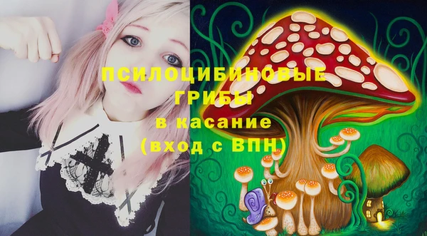 эйфоретик Магас