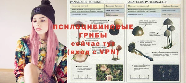 эйфоретик Магас