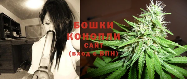 эйфоретик Магас