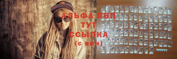 индика Мегион