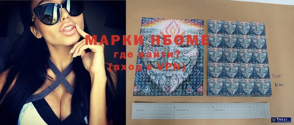 индика Мегион