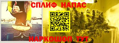 бошки Камышлов