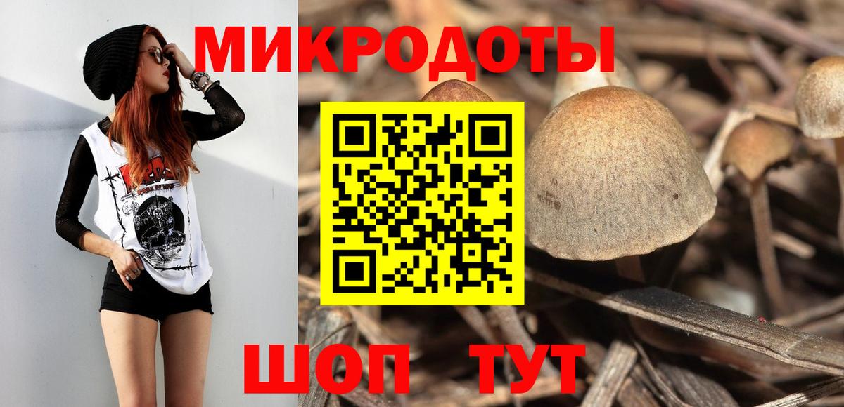 Галлюциногенные грибы Magic Shrooms  Полевской 